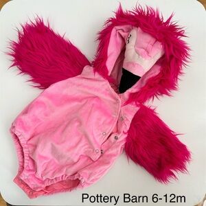 Pottery Barn flamingo baby costume